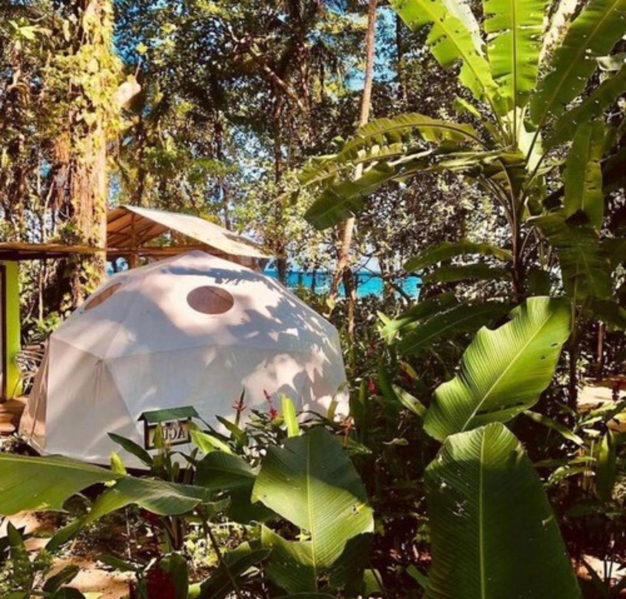Hotel Faith Glamping Dome Costa Rica Manzanillo  Exteriér fotografie