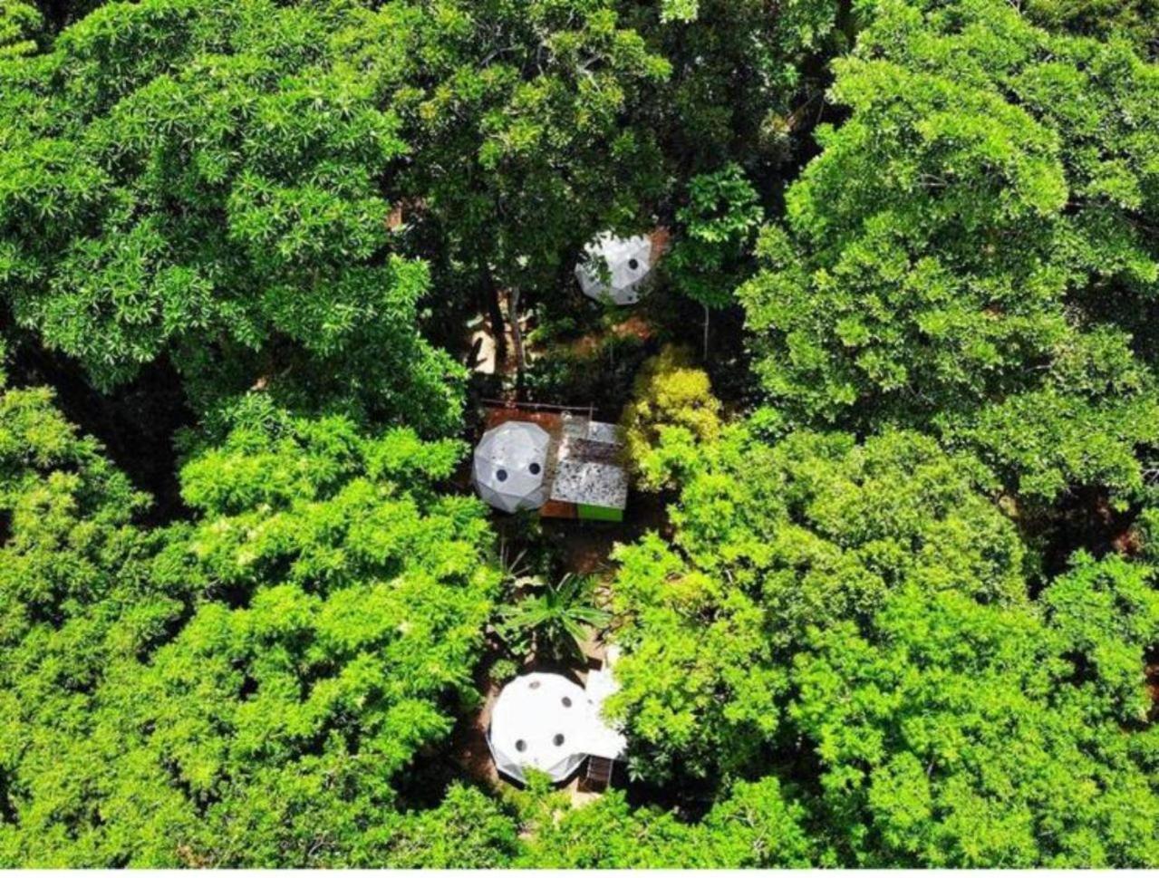 Hotel Faith Glamping Dome Costa Rica Manzanillo  Exteriér fotografie