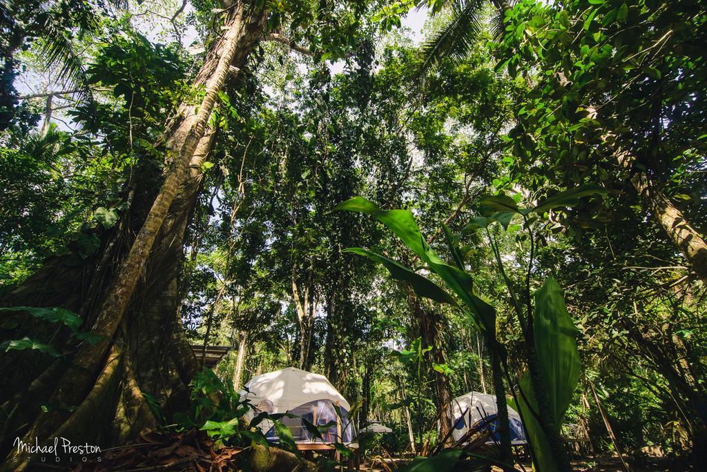 Hotel Faith Glamping Dome Costa Rica Manzanillo  Exteriér fotografie